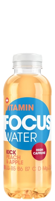 FOCUSWATER Kick 4 x 6er Ew.PET