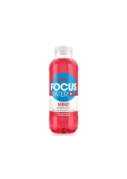 FOCUSWATER Mind 4 x 6er Ew.PET